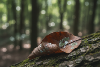 Промпт для фото в стиле 🎨 Интересная попытка! Давай попробуем что-то создать