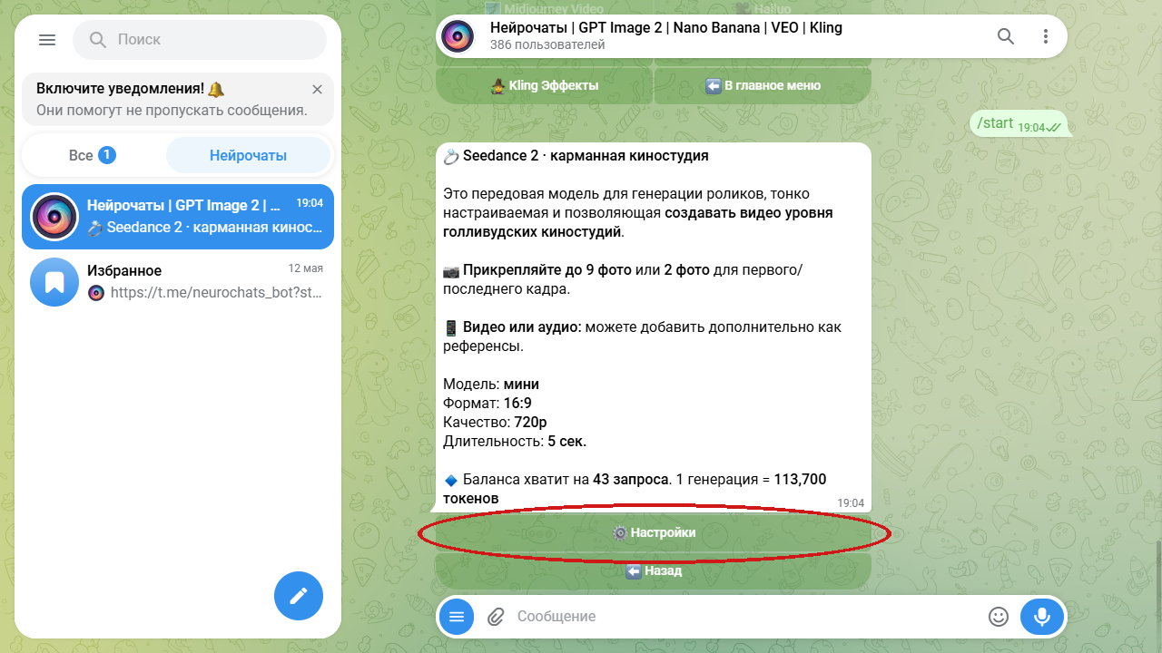 экран Seedance 2 в боте, обведена кнопка «Настройки»
