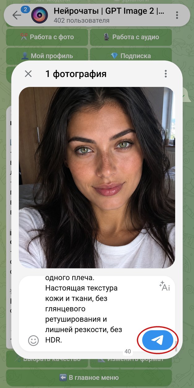 В боте Нейрочаты прикреплено селфи, промпт в подписи, кнопка отправки обведена