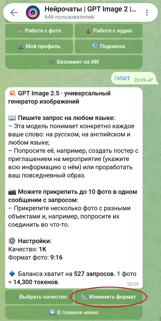 Карточка GPT Image 2.5 в боте Нейрочаты, кнопка «Изменить формат» обведена