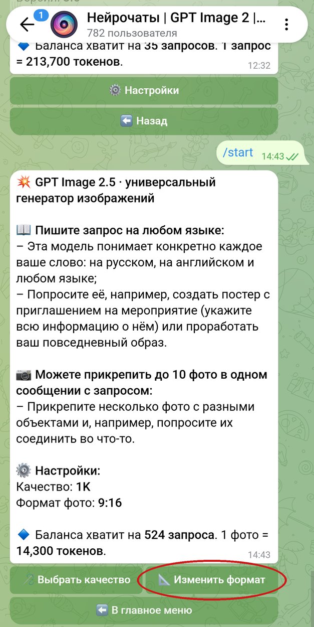 Настройки GPT Image 2.5 в боте, обведена кнопка Изменить формат
