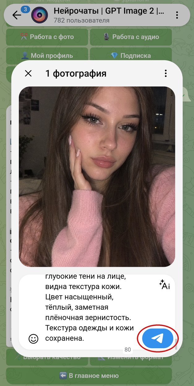 Окно отправки: селфи и промпт фотосессии в пальто в подписи, обведена кнопка отправки