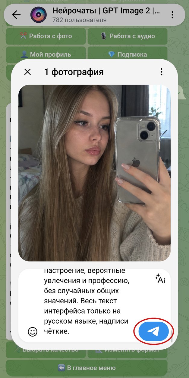 Селфи с промптом для экрана Симс 4 в подписи, кнопка отправки обведена