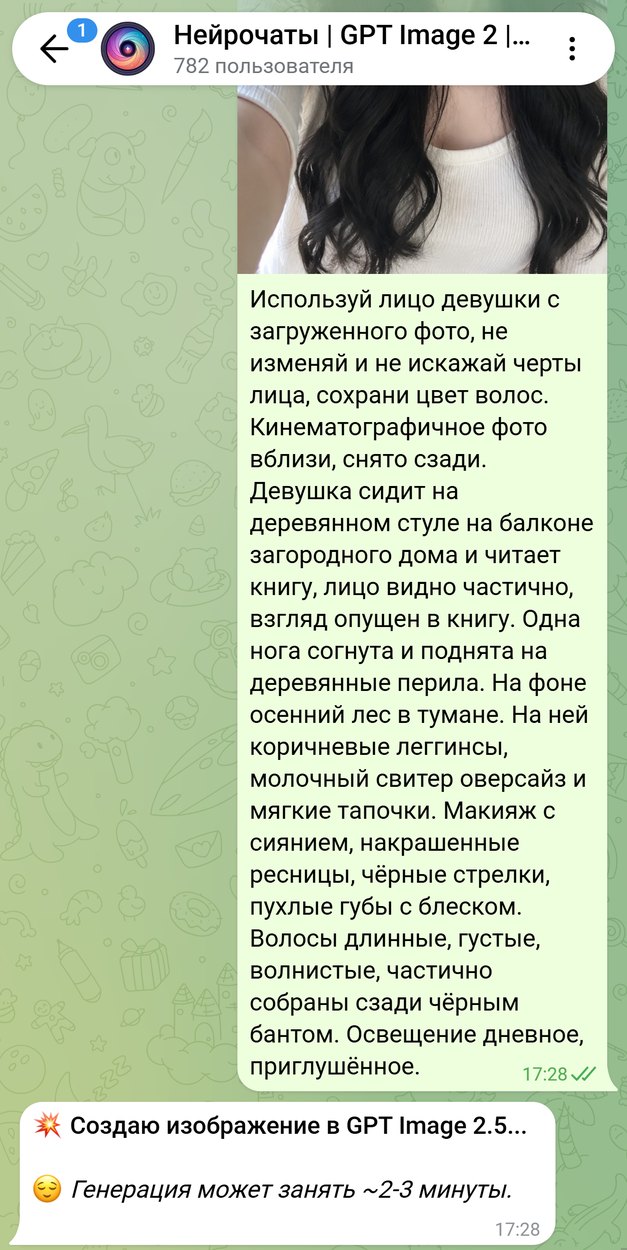 Селфи и промпт осеннего кадра со спины отправлены боту одним сообщением