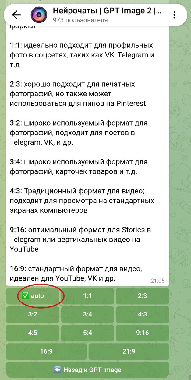 Выбор формата в GPT Image 2.5: отмечен auto, чтобы снимок сохранил пропорции