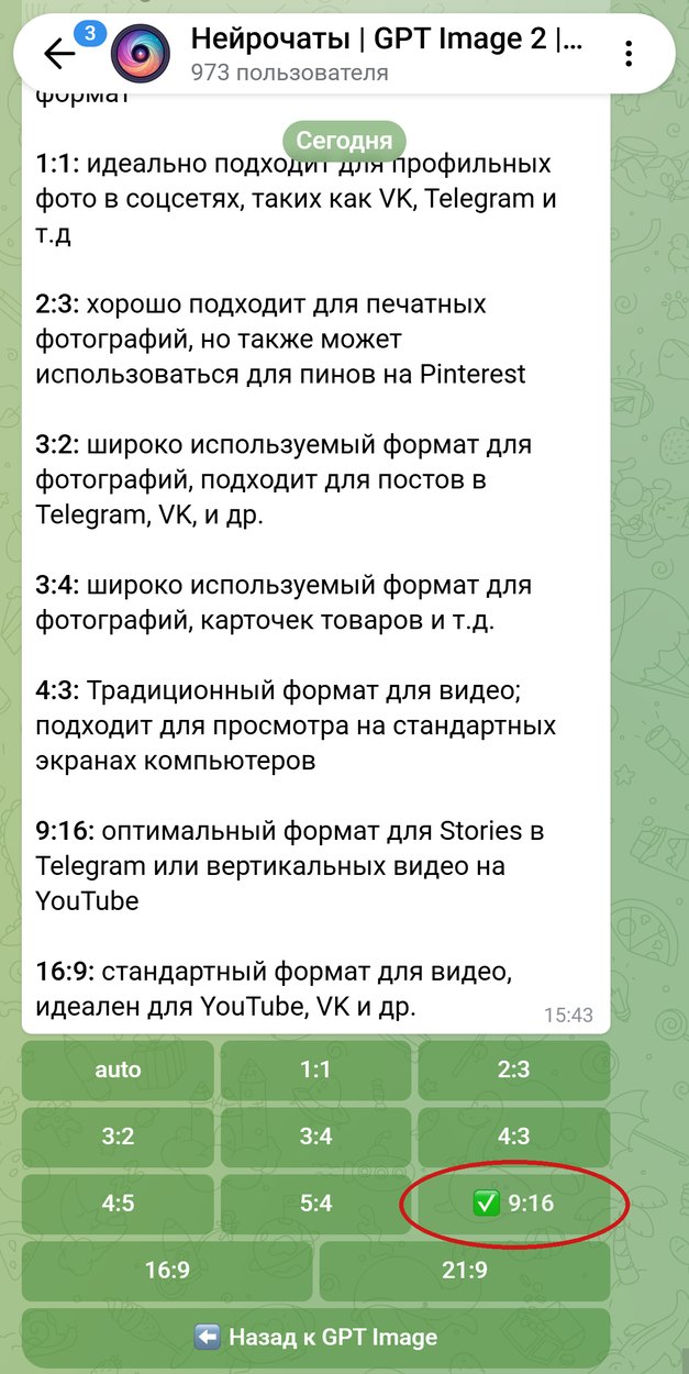 Список форматов GPT Image 2.5 в боте, обведён формат 9:16