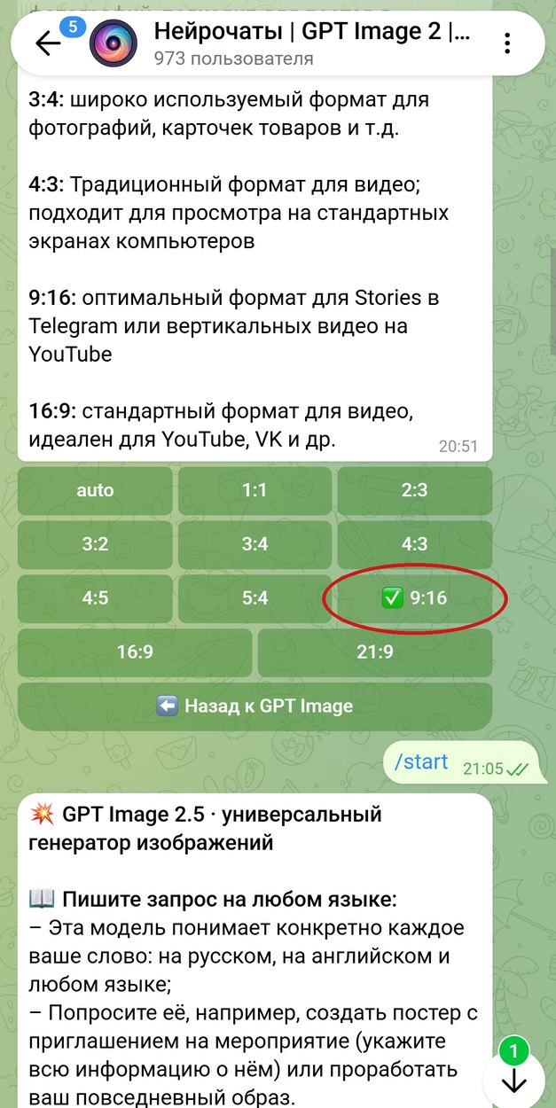 Выбор формата кадра в GPT Image 2.5, отмечен 9:16