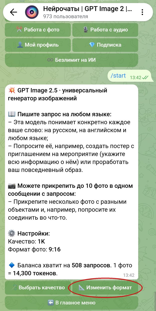 Карточка GPT Image 2.5 с форматом 9:16, кнопка «Изменить формат» обведена