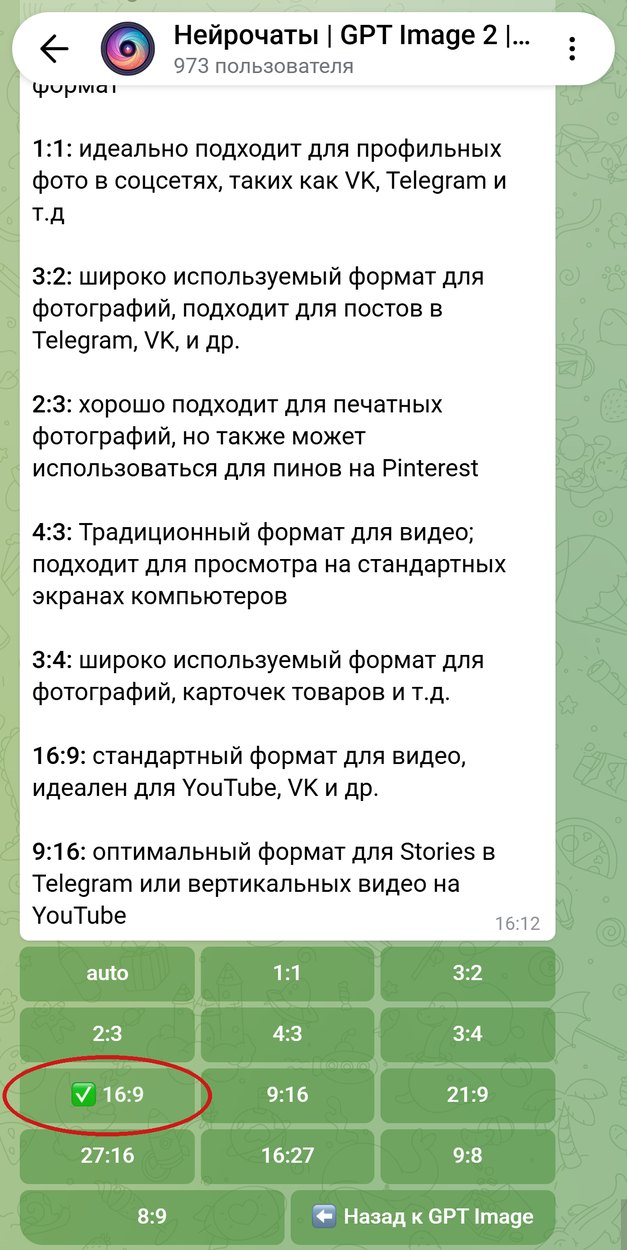 Список форматов в боте Нейрочаты, обведён формат 16:9 для карты ладони