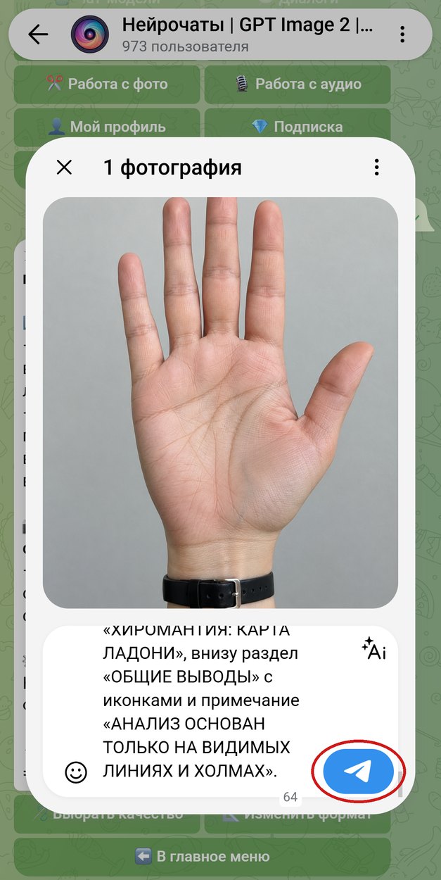 Фото ладони с промптом хиромантии в подписи, обведена кнопка отправки