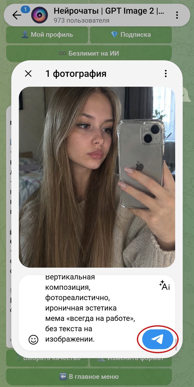 Селфи в зеркале с промптом в подписи, кнопка отправки обведена