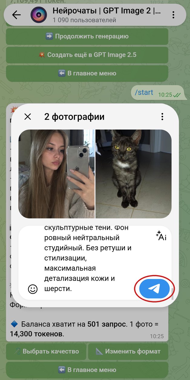 Селфи и фото кошки в одном сообщении с промптом в подписи, обведена кнопка отправки