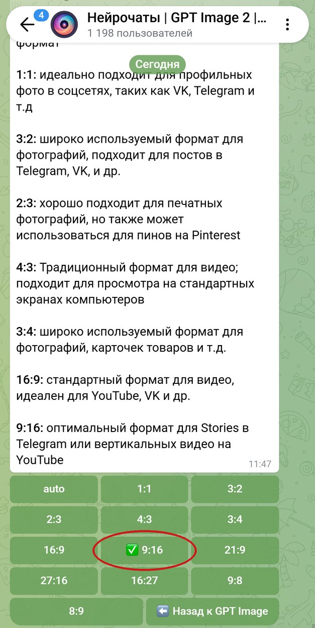 Выбор формата в GPT Image 2.5, отмечен вертикальный 9:16