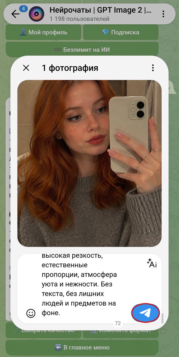 Зеркальное селфи прикреплено, промпт стоит подписью, обведена кнопка отправки
